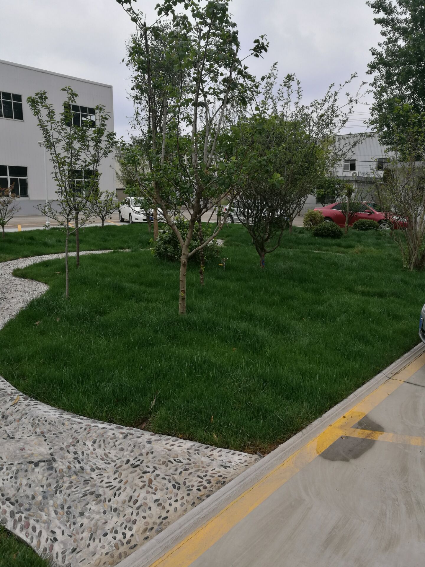 FF1FB7EB1571FEBDE423D040CF8CDE52.jpg FF1FB7EB1571FEBDE423D040CF8CDE52.jpg